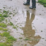 梅雨時期の草むしり