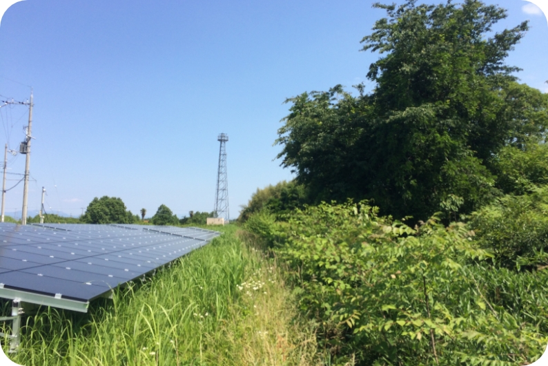 太陽光発電所