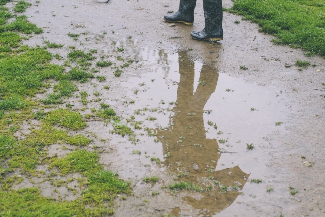 梅雨時期の草むしり