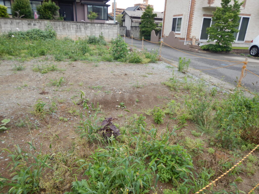 福島県郡山市 不動産 空き地の草刈り・除草剤散布 除草サービス 事例before02