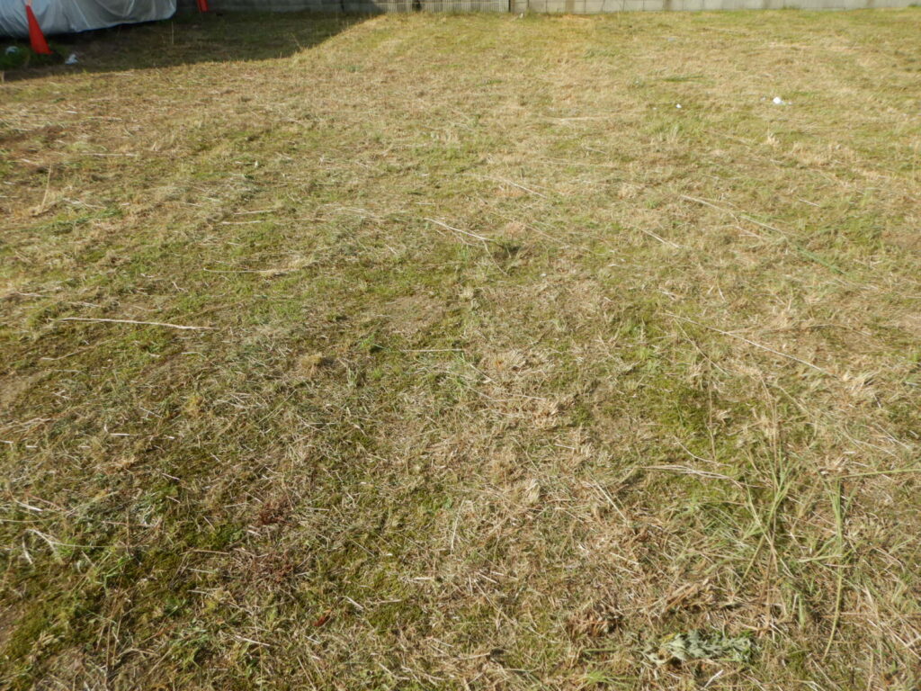 福島県郡山市 遠方オーナー様定期除草 after01