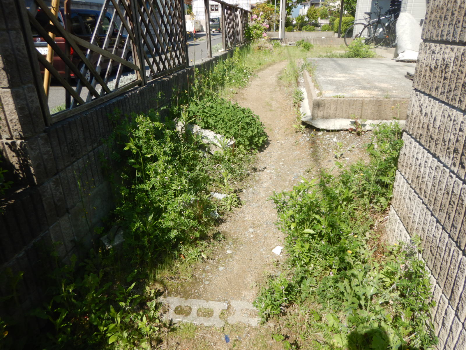 【郡山市】個人様　草刈り・除草サービス　before02