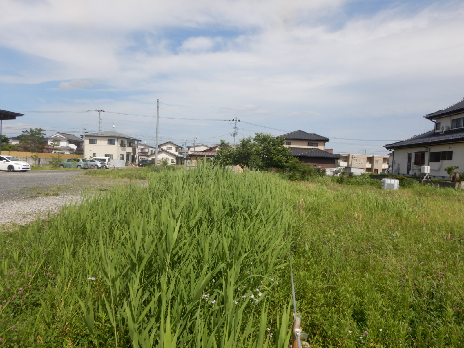 【郡山市内】砂利の駐車場 除草作業前01
