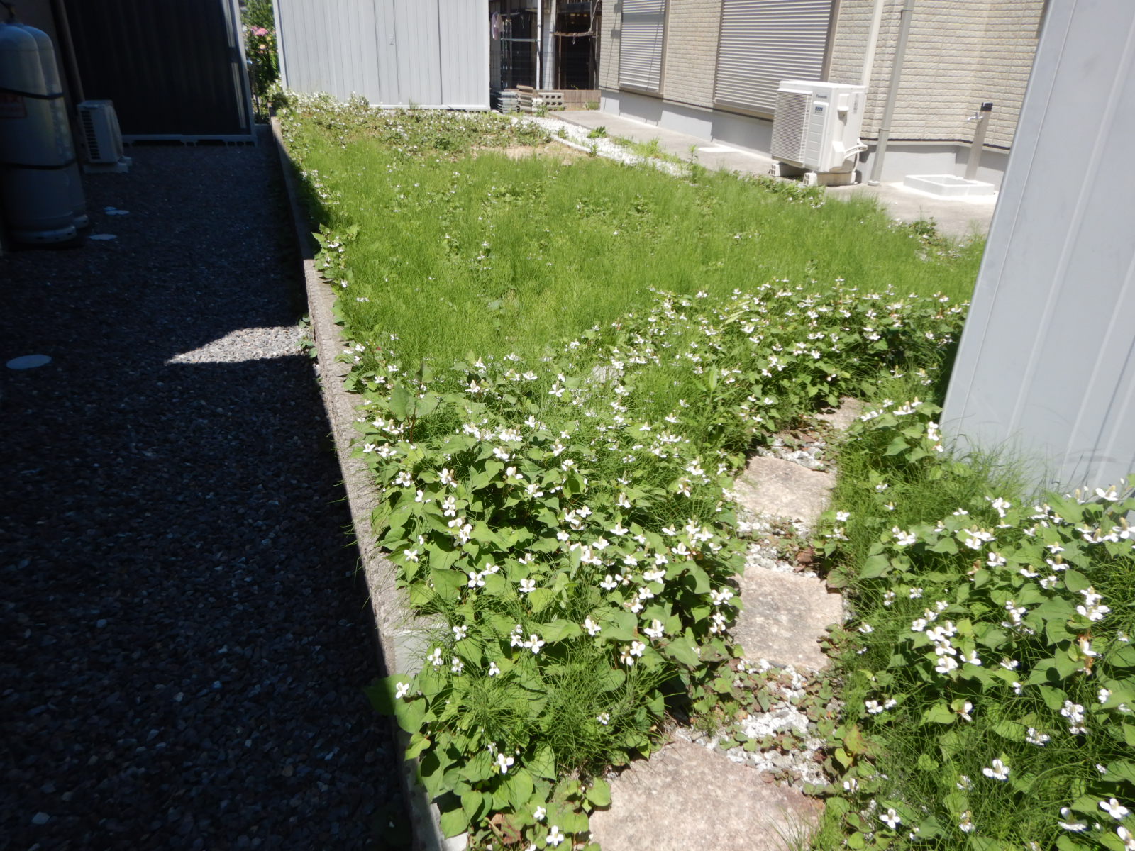 【郡山市】個人様宅草刈り 　作業前01