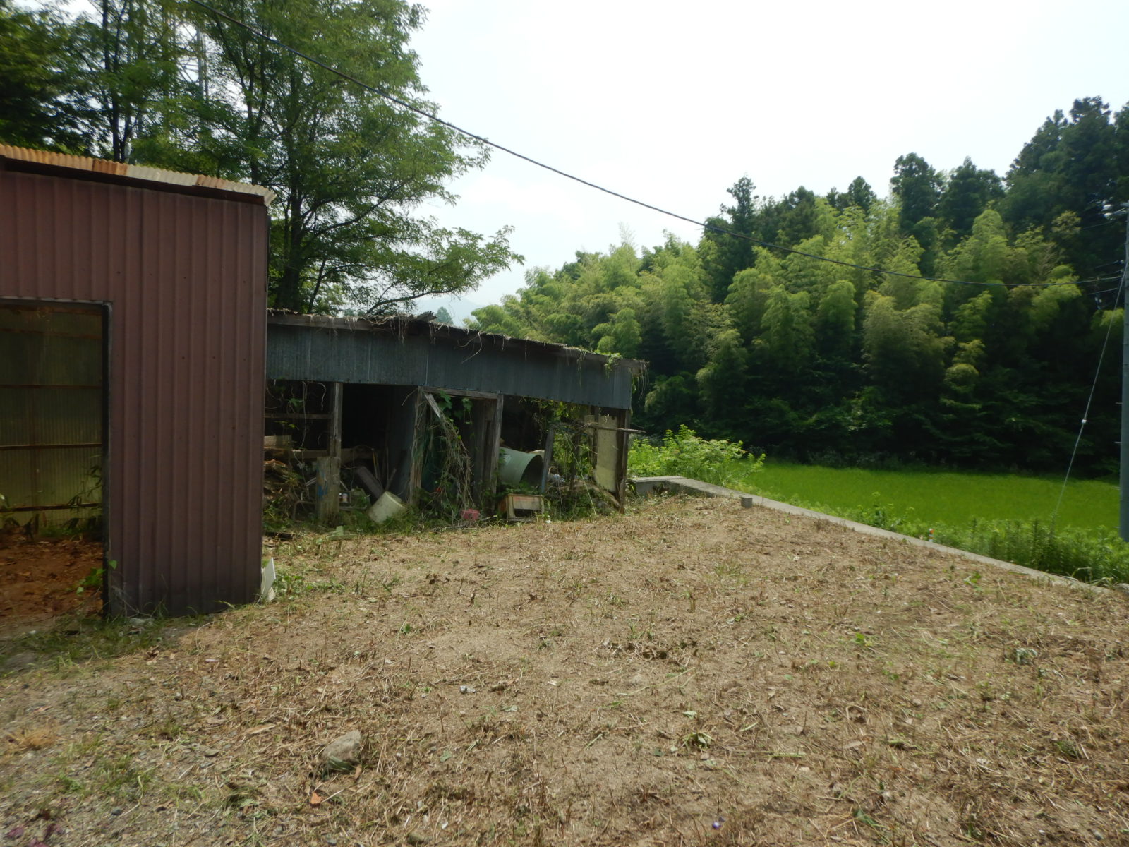 【郡山市】秋の除草作業 　作業後02