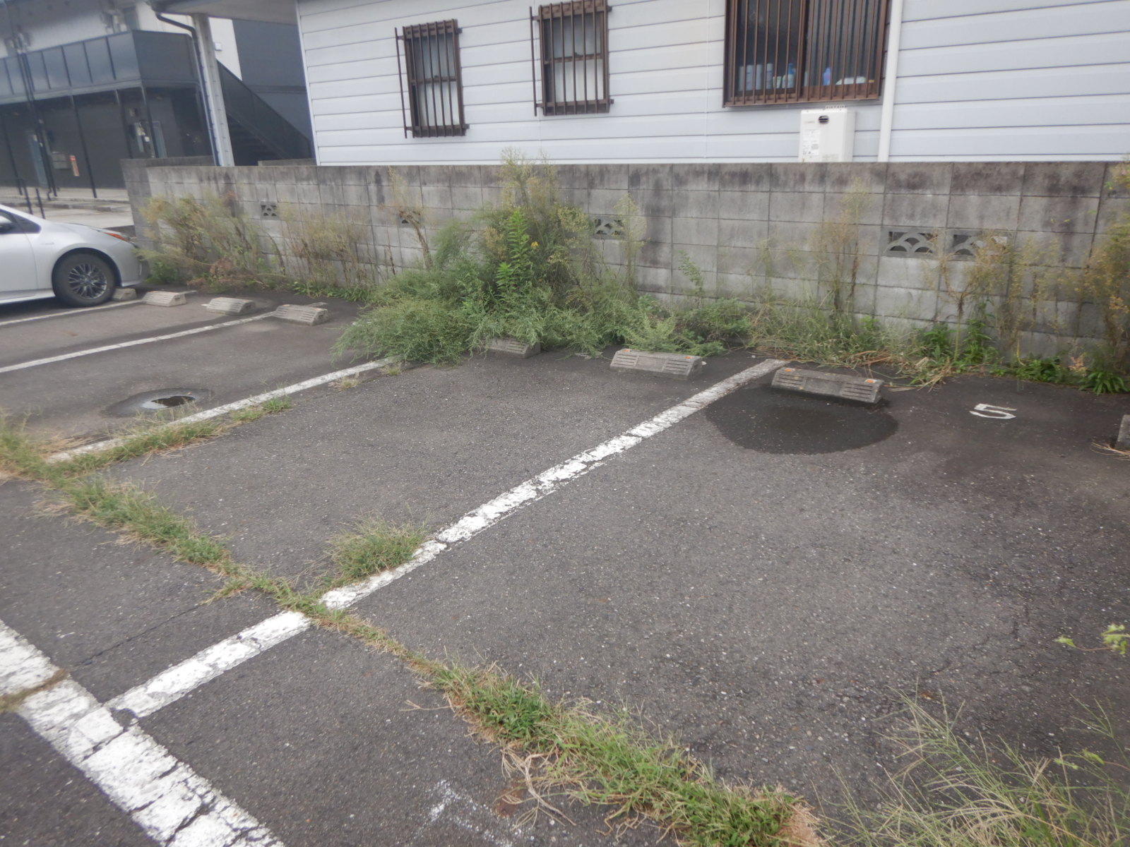 【郡山市】駐車場除草作業事例 作業前01