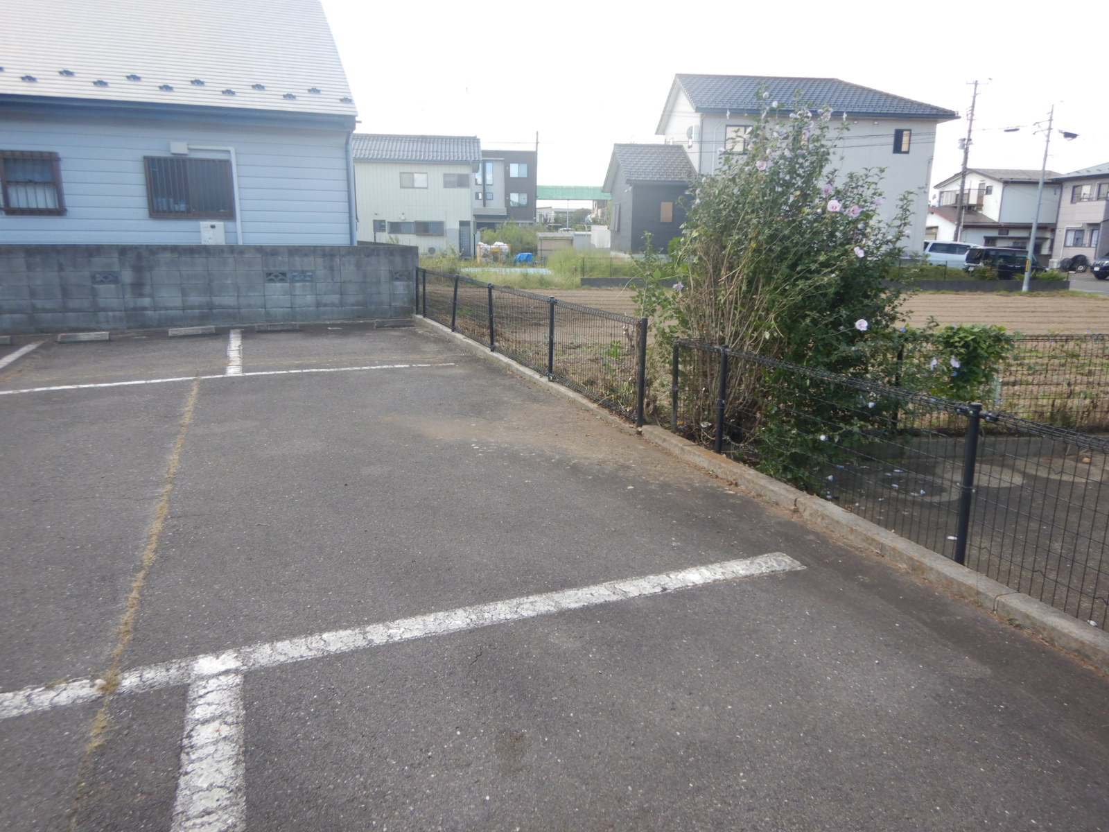 【郡山市】駐車場除草作業事例 作業後02