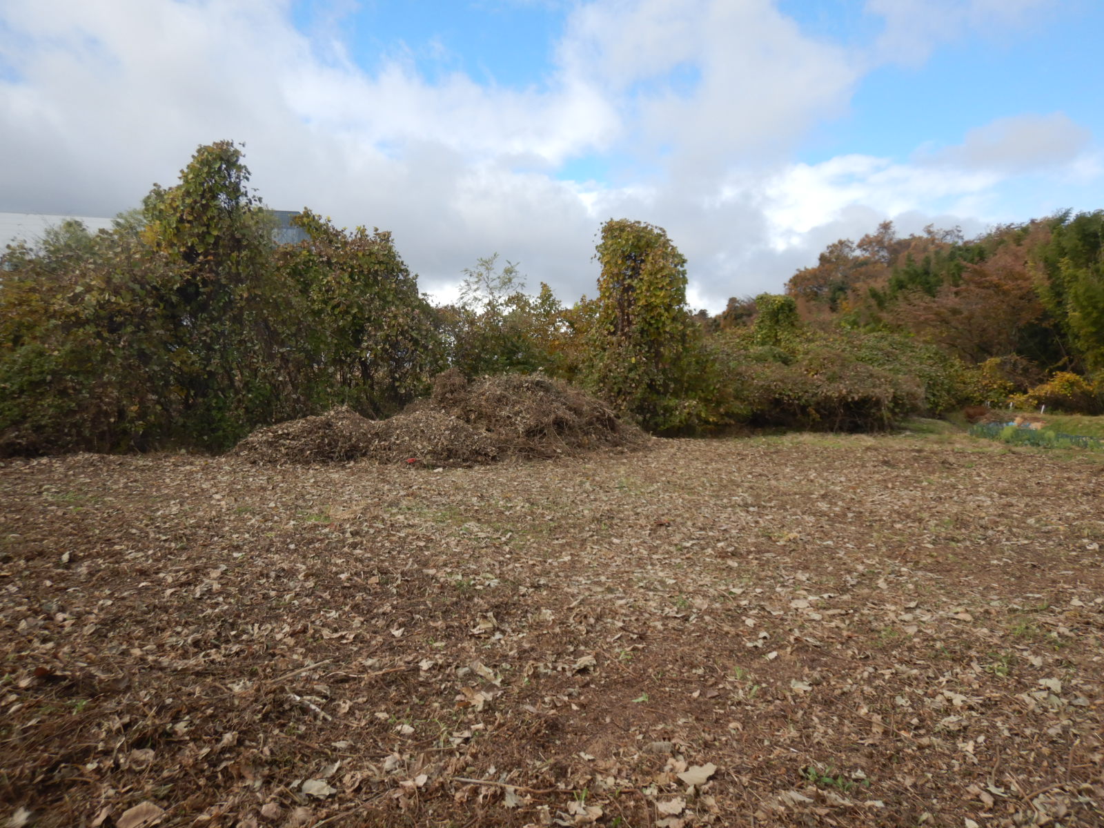 【郡山市】法人 空き地の除草作業事例 作業後02