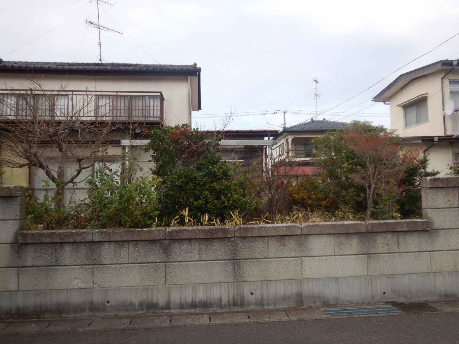 伐採剪定作業　郡山市 after01