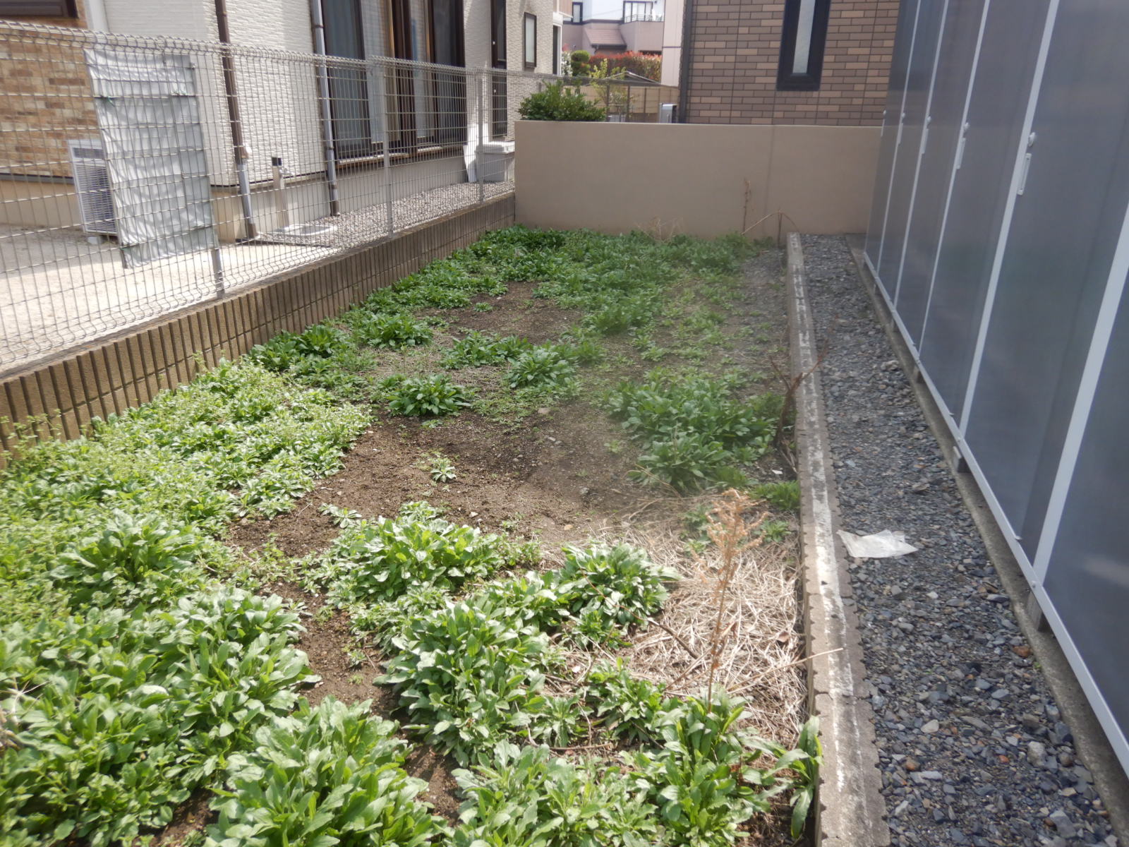 郡山市　アパート定期除草作業　before02