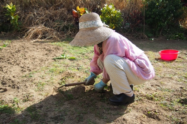 ミドル・シニア求人情報 除草作業