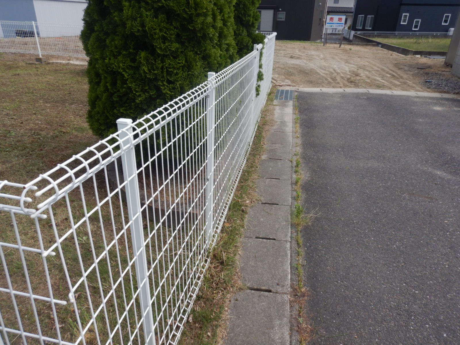 アパート定期除草作業後02