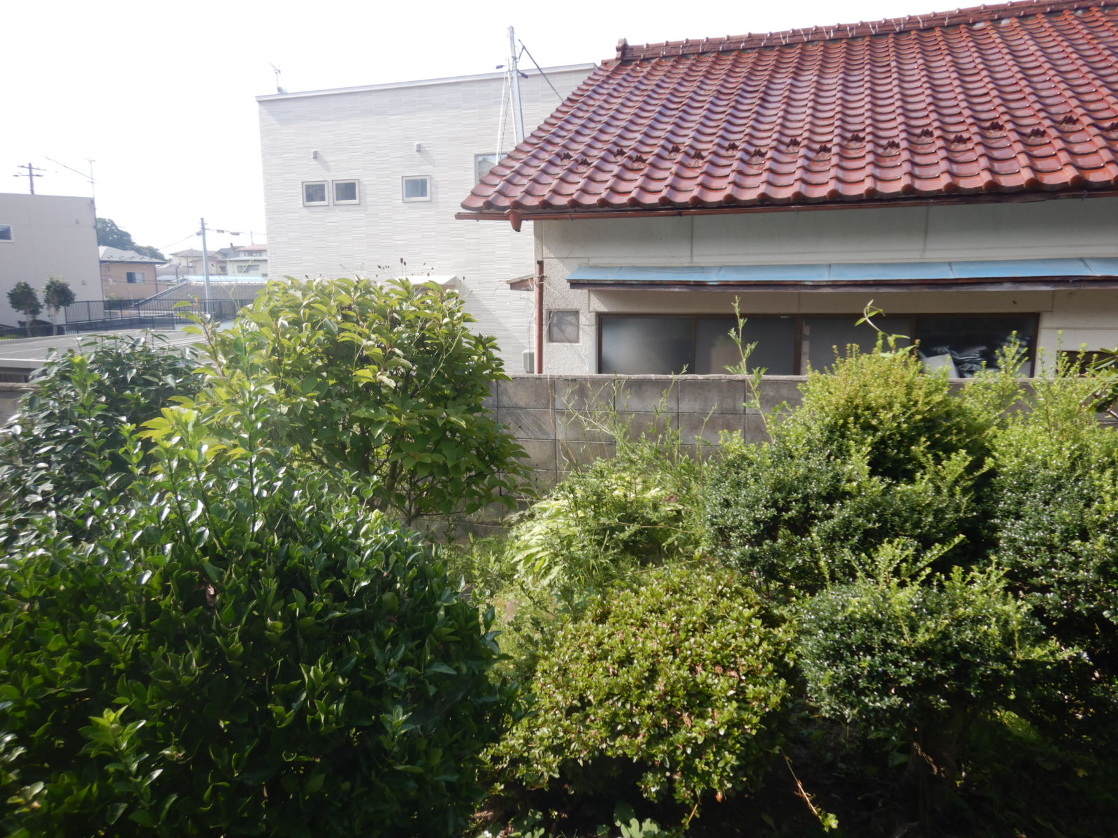 郡山市　定期除草・剪定作業サポート04